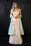 Rose Pink Mugal Plant Lehenga