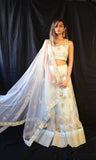 Pale Aqua Mugal Plant Lehenga