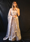 Light Brown Growing Flowers Lehenga