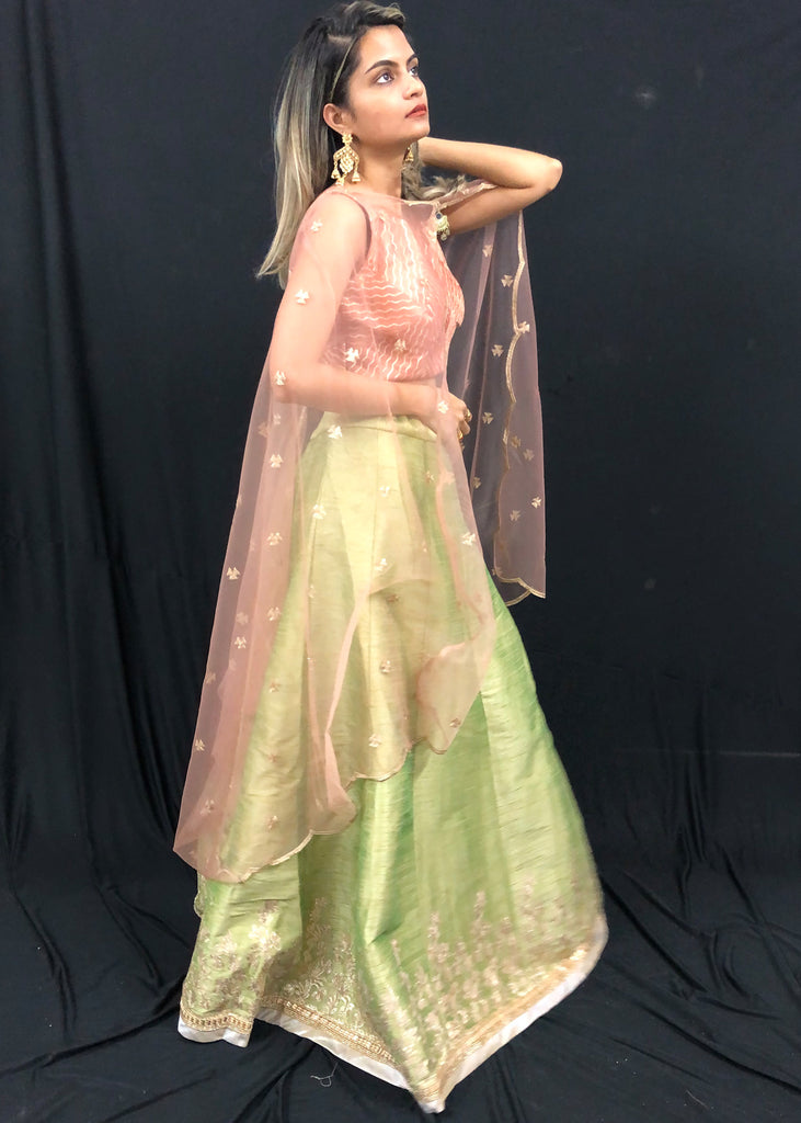 Light Green and Pink Heavy Embroidered Lehenga | KameezGhar